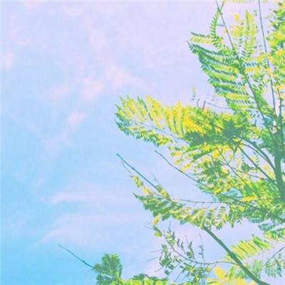 三国的名义游戏
